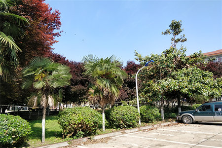 明城园陶瓷厂家属院2室2厅1卫75㎡